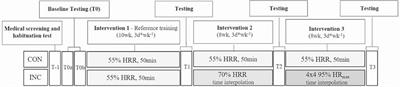 Effects on cardiorespiratory fitness of moderate-intensity training vs. energy-matched training with increasing intensity